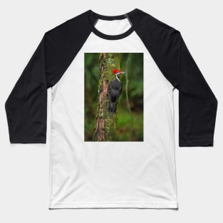 Pileated Woodpecker Baseball T-Shirt